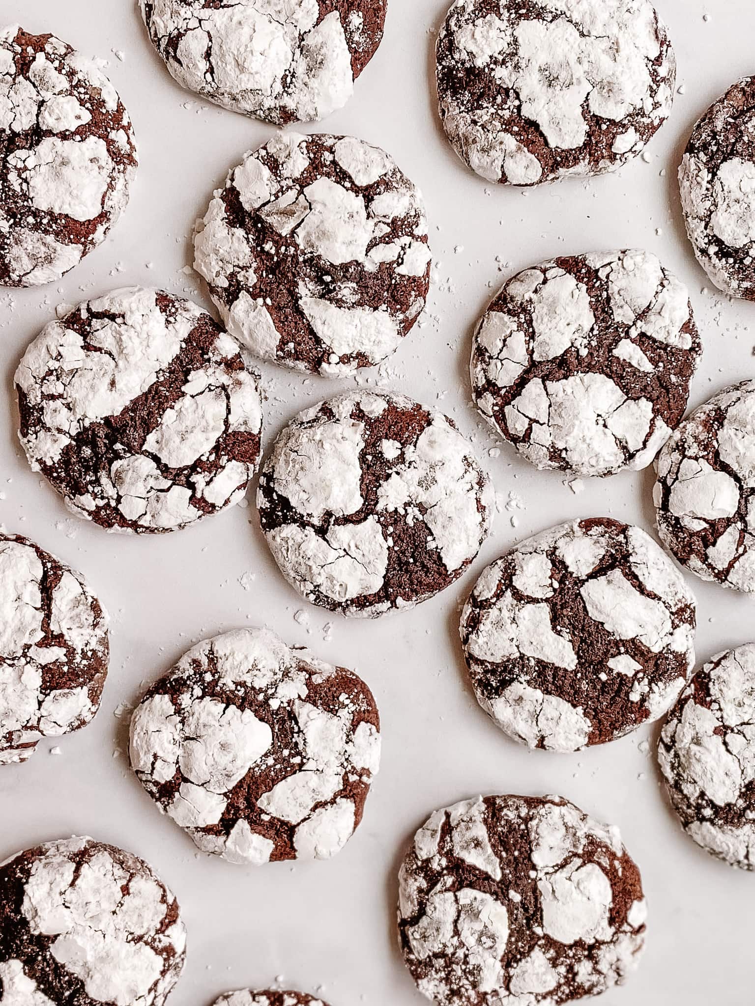 A spread of chocolate crinkle cookies spread out to show many cookies.