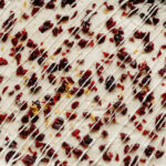 Gluten Free Cranberry Bliss Bars featured image