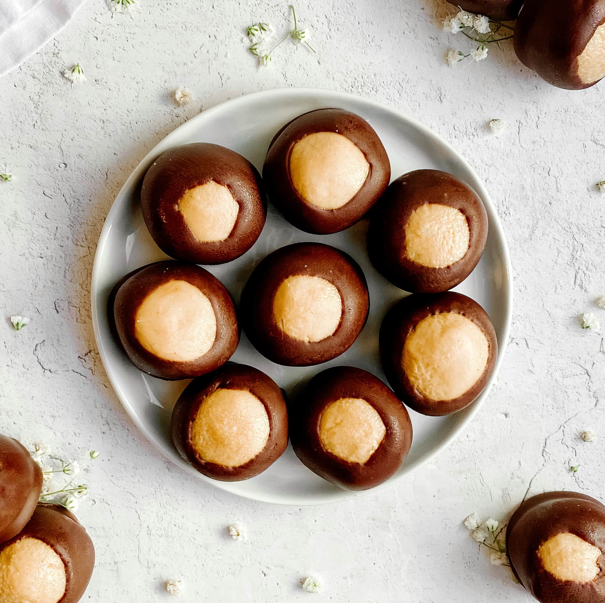 A circle of buckeyes on a small plate. Peanut but pokes through the center of the chocolate.
