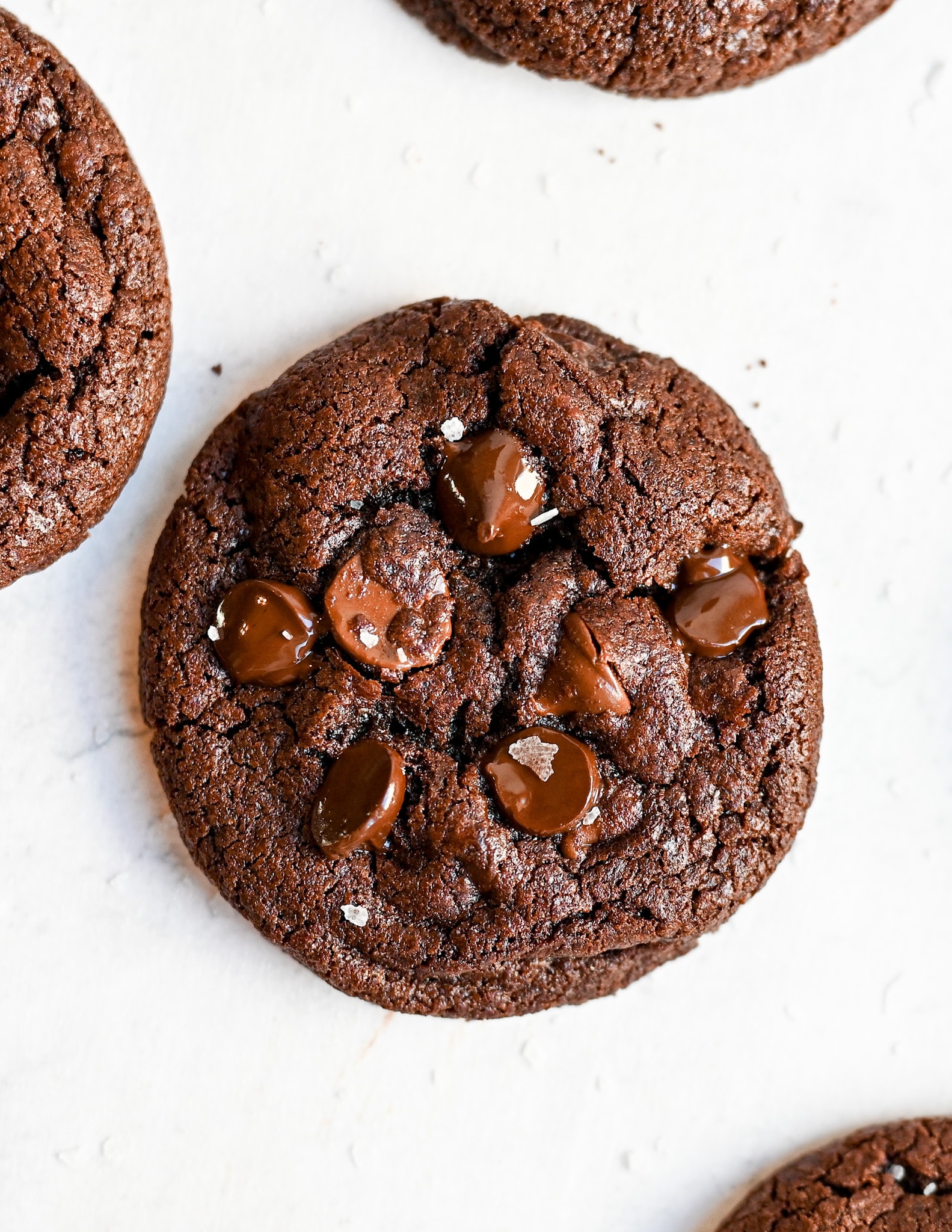 gluten free double chocolate chip cookie centered in the shot