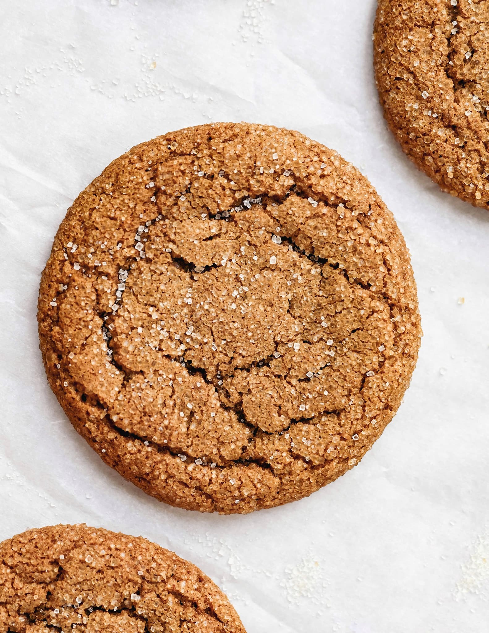 soft molasses cookie with light cracking and a dust of crunchy sugar topping