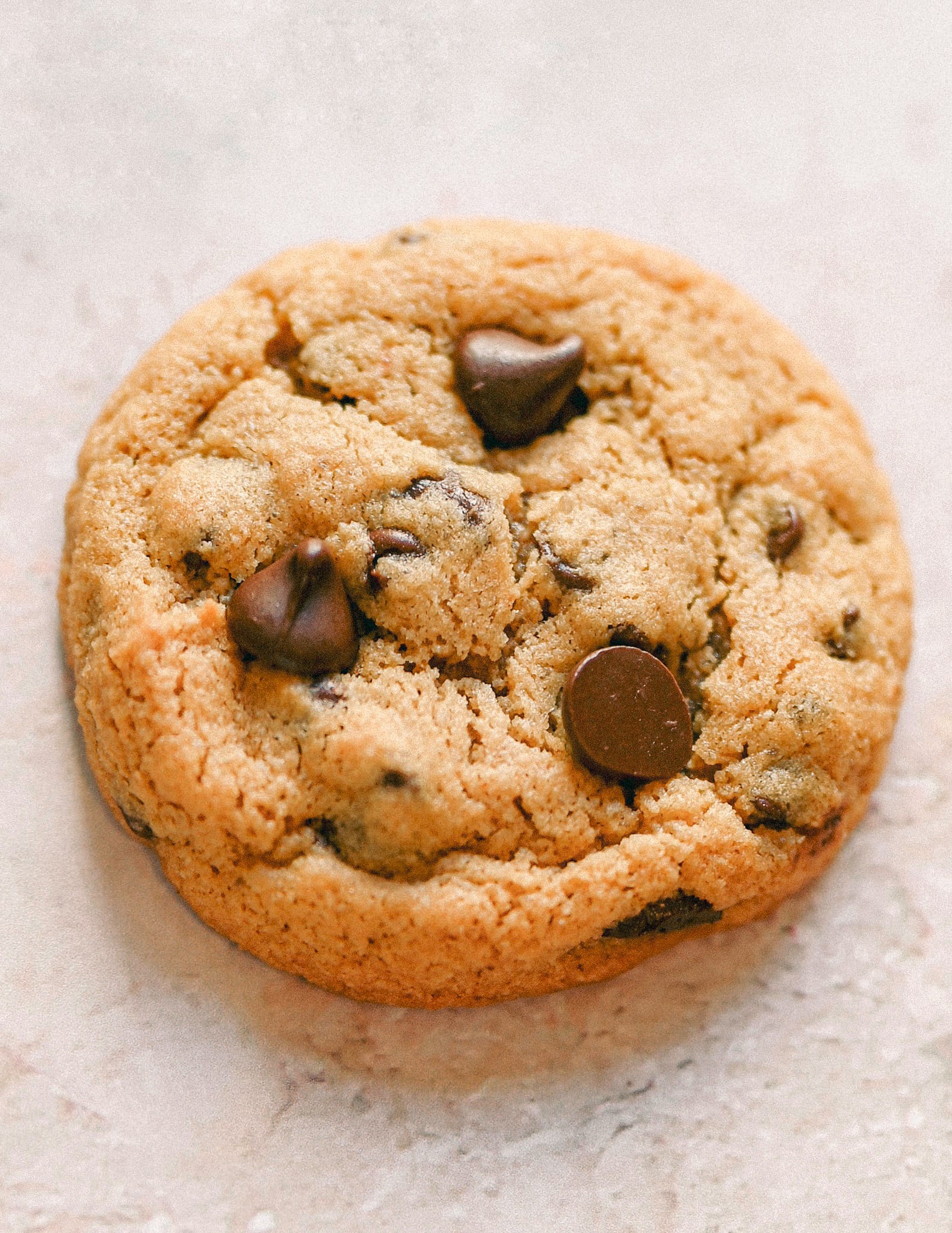 almond flour chocolate chip cookie with three large chocolate chips visible