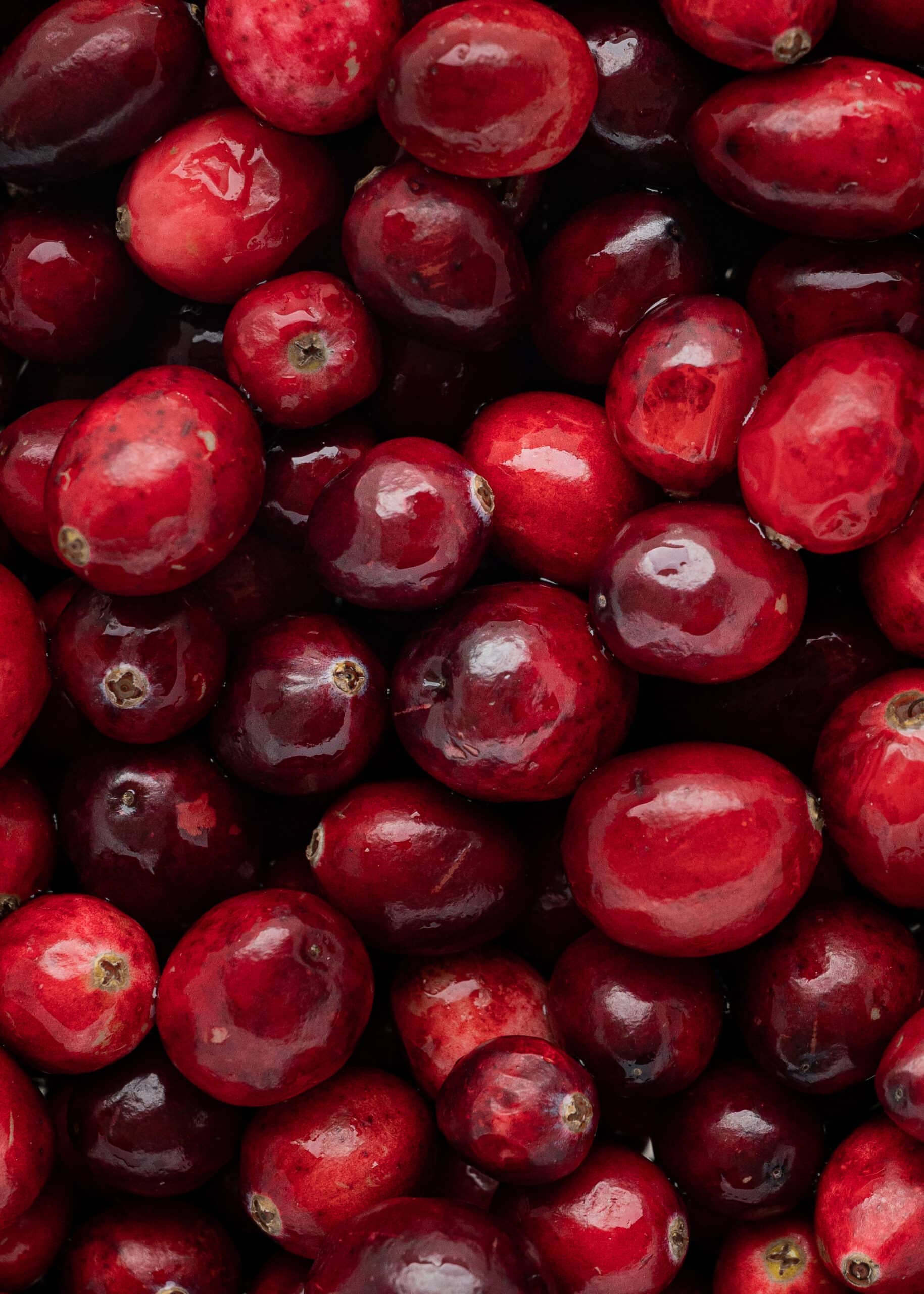 A close up of fresh red cranberries.