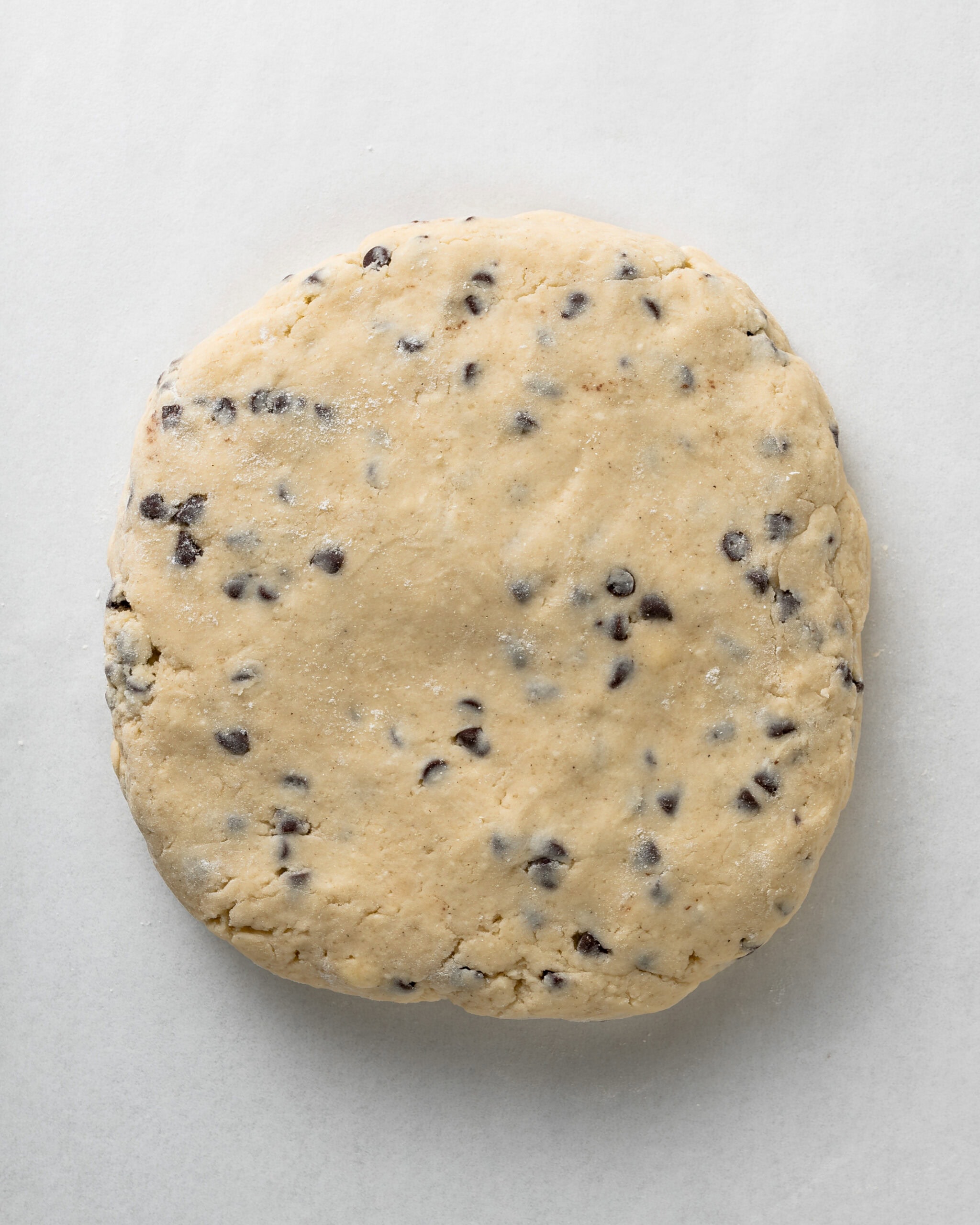 Round out the chocolate chip scone dough in a disk.