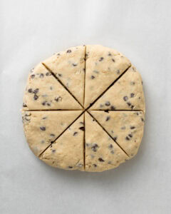 Chocolate Chip Scones Divided into 8 wedges.