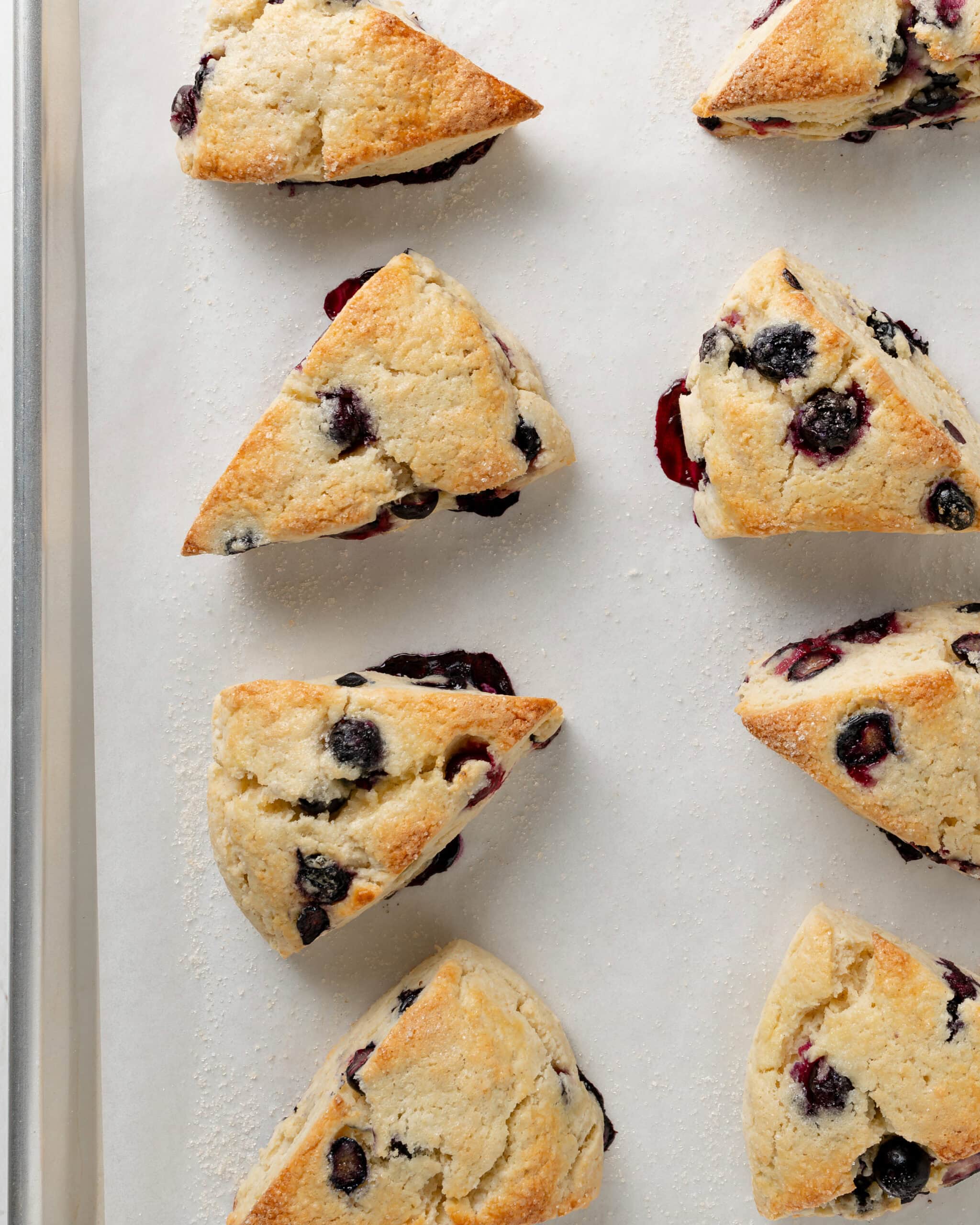 Eight gluten free blueberry scones on a lined baking tray.