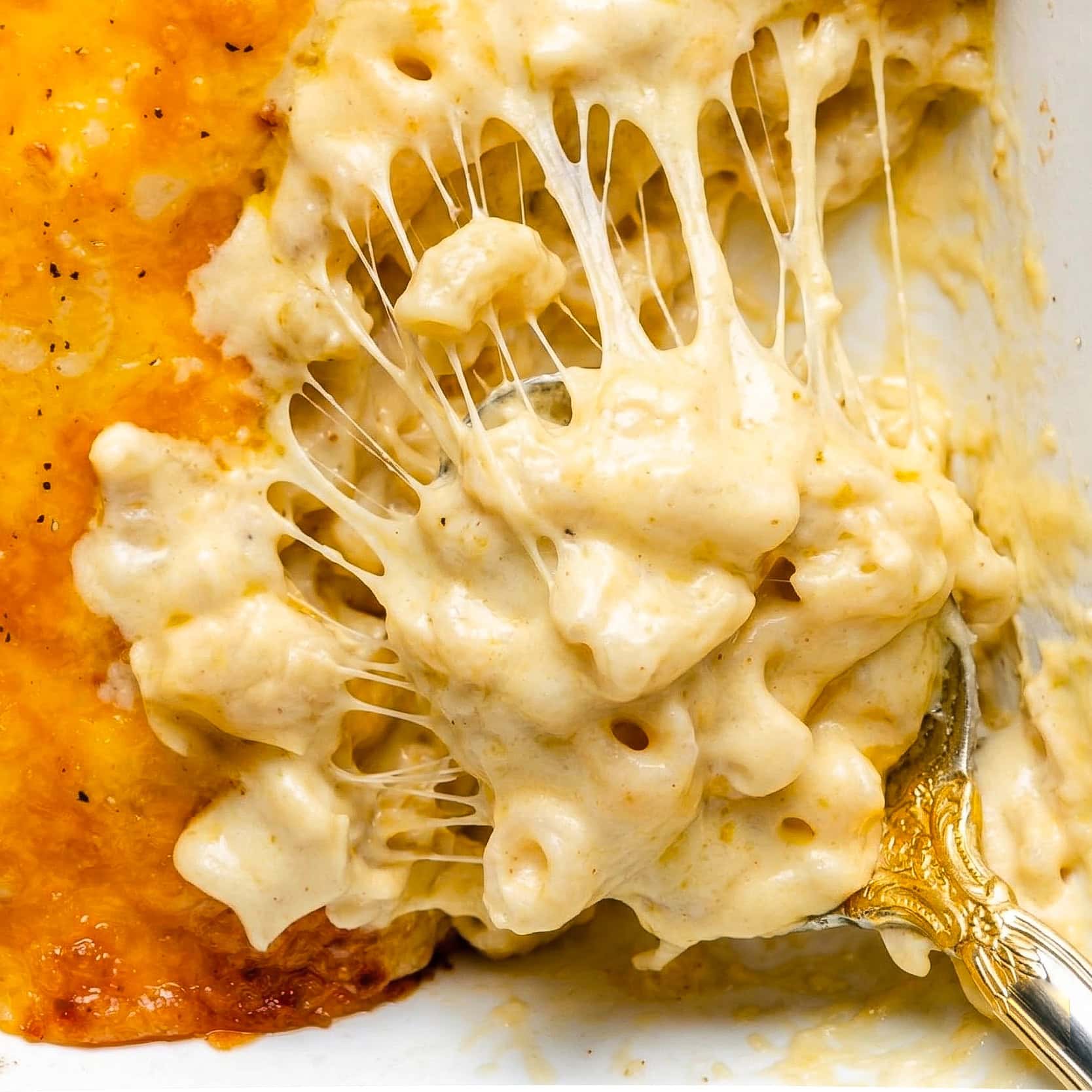 Close up mac and cheese gluten free.