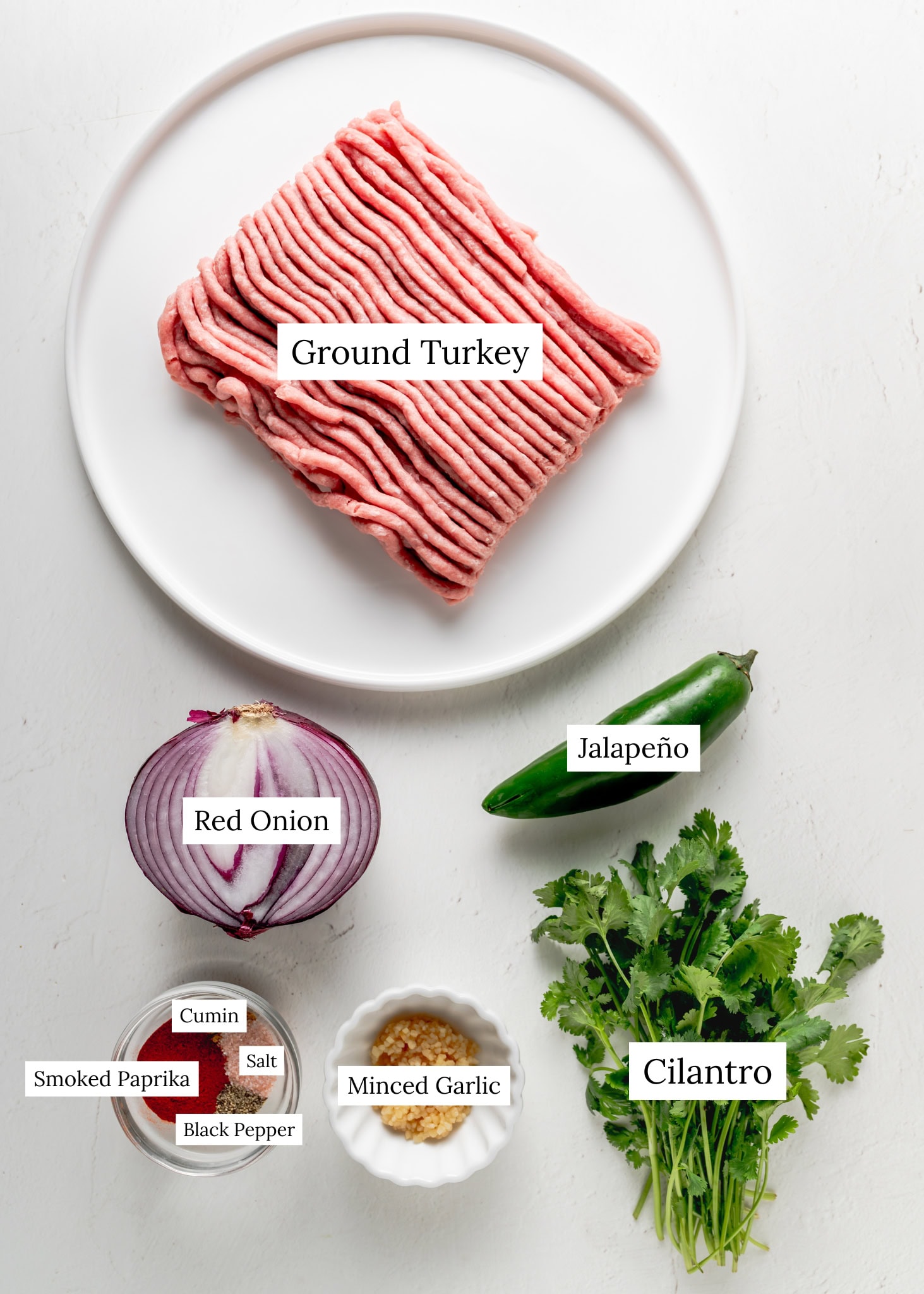 Ingredient shot for jalapeno turkey burgers. Ground turkey, red onion, jalapeno, cilantro, minced garlic, spices.